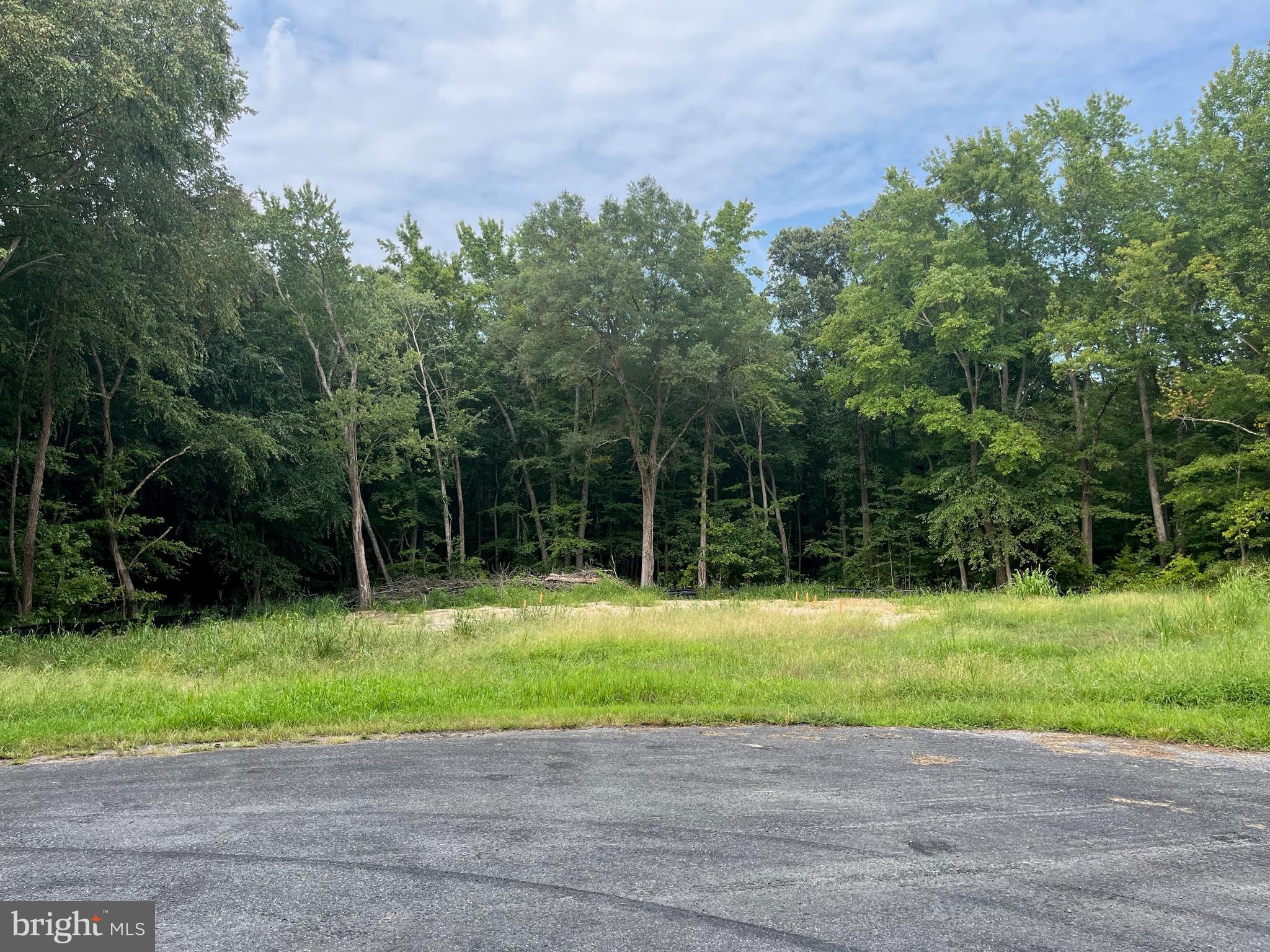 833 Woods Road Chestertown, MD 21620 - Photo 1 of 1 Gallery Image 1