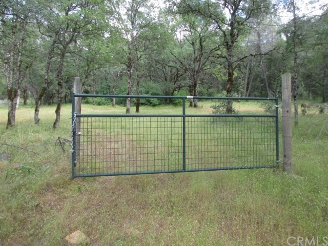 0 Gold Mountain Road Bangor, CA 95914 - Photo 1 of 1 Gallery Image 1