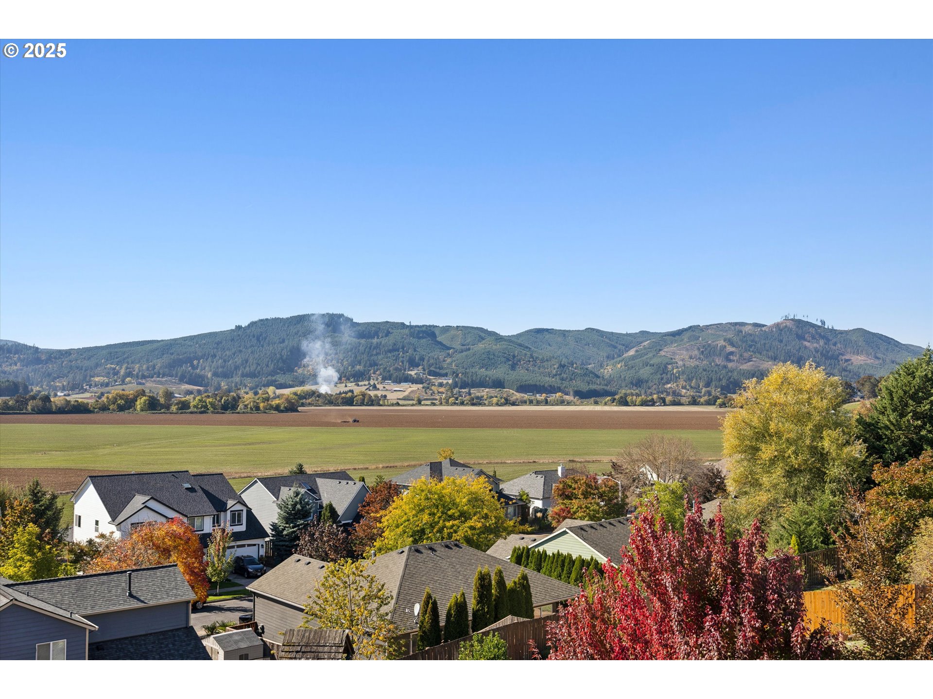 2440 Heather Way Forest Grove, OR 97116 - Photo 23 of 24 a view of a lake with a mountain in the background