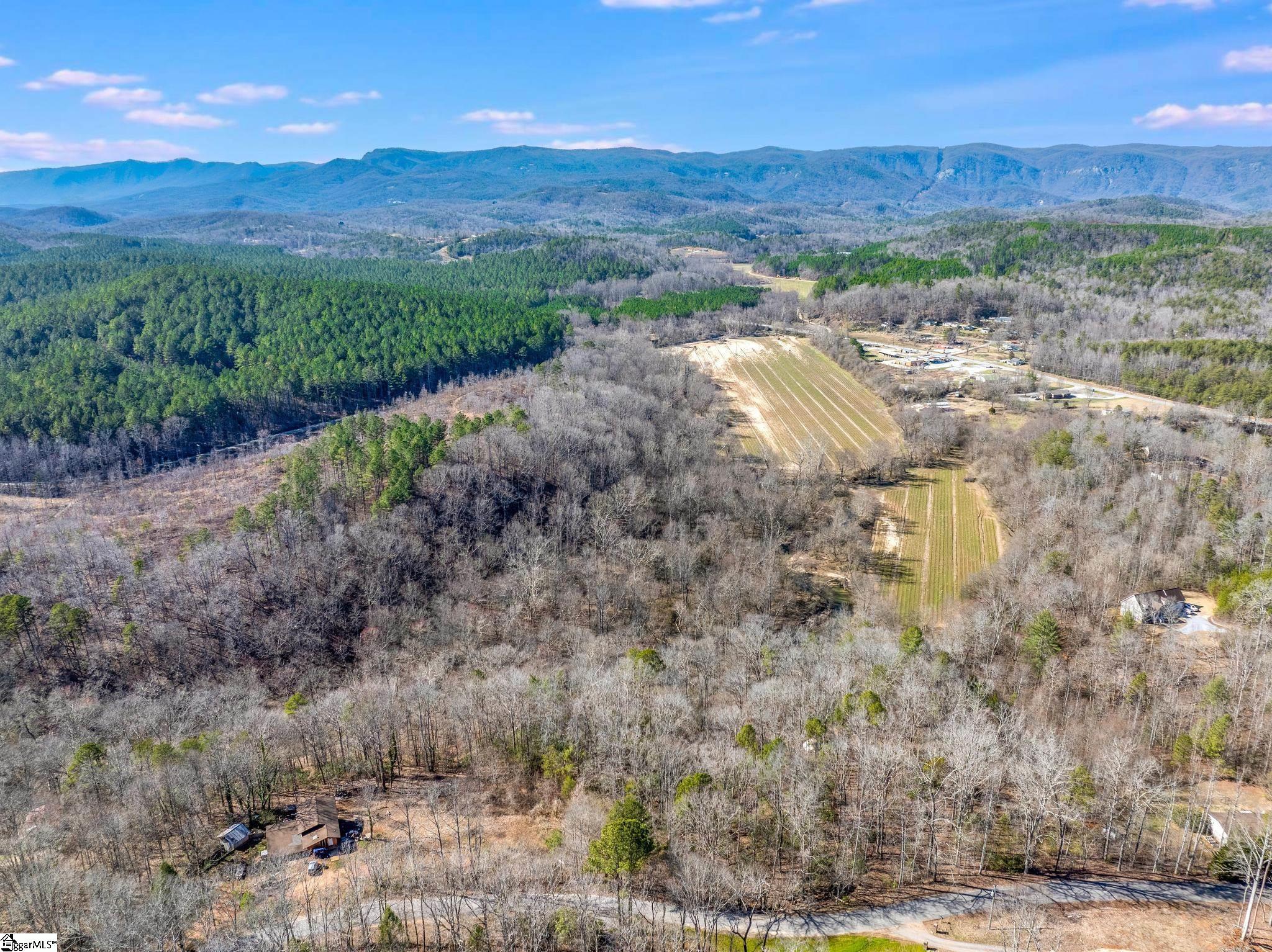 0 Echo Ridge Drive Marietta, SC 29661 - Photo 11 of 15