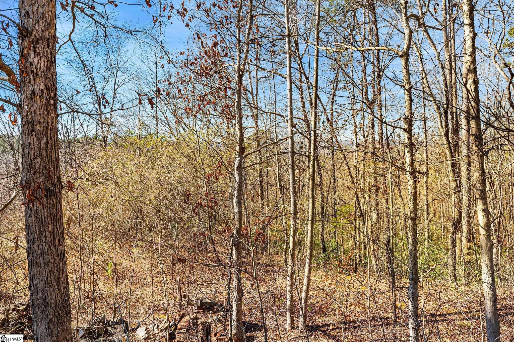 0 Echo Ridge Drive Marietta, SC 29661 - Photo 14 of 15