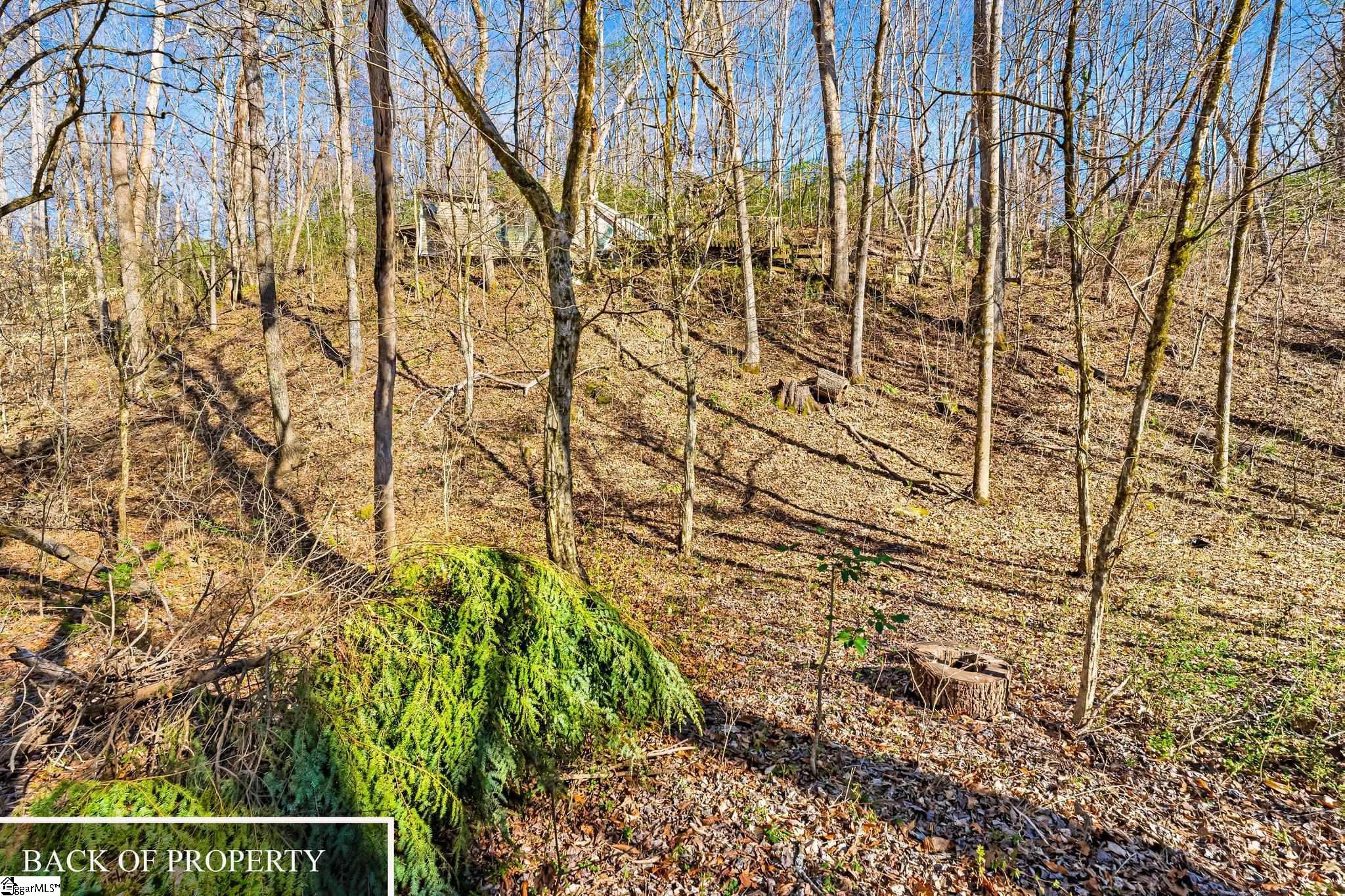 0 Echo Ridge Drive Marietta, SC 29661 - Photo 15 of 15