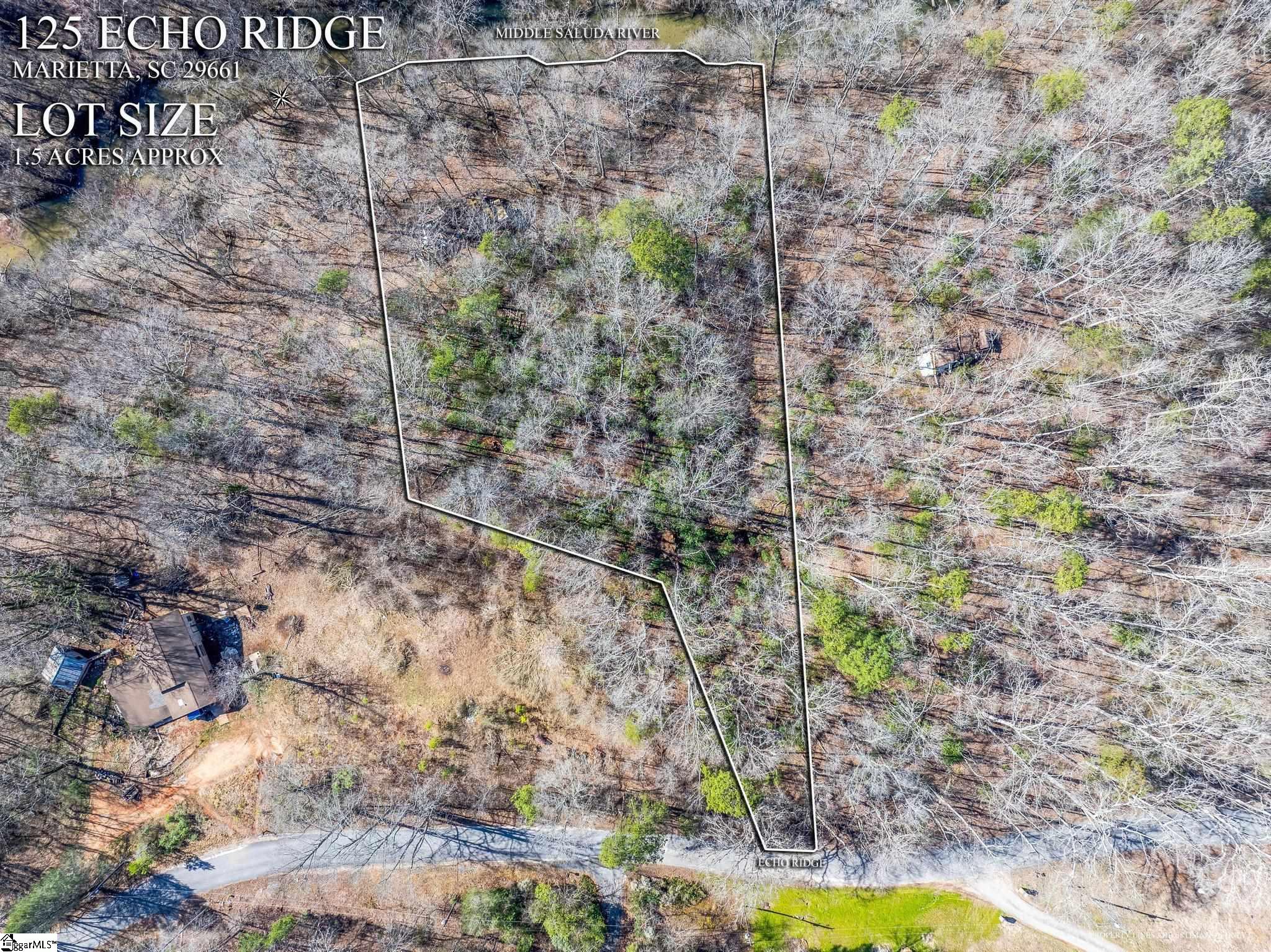 0 Echo Ridge Drive Marietta, SC 29661 - Photo 3 of 15