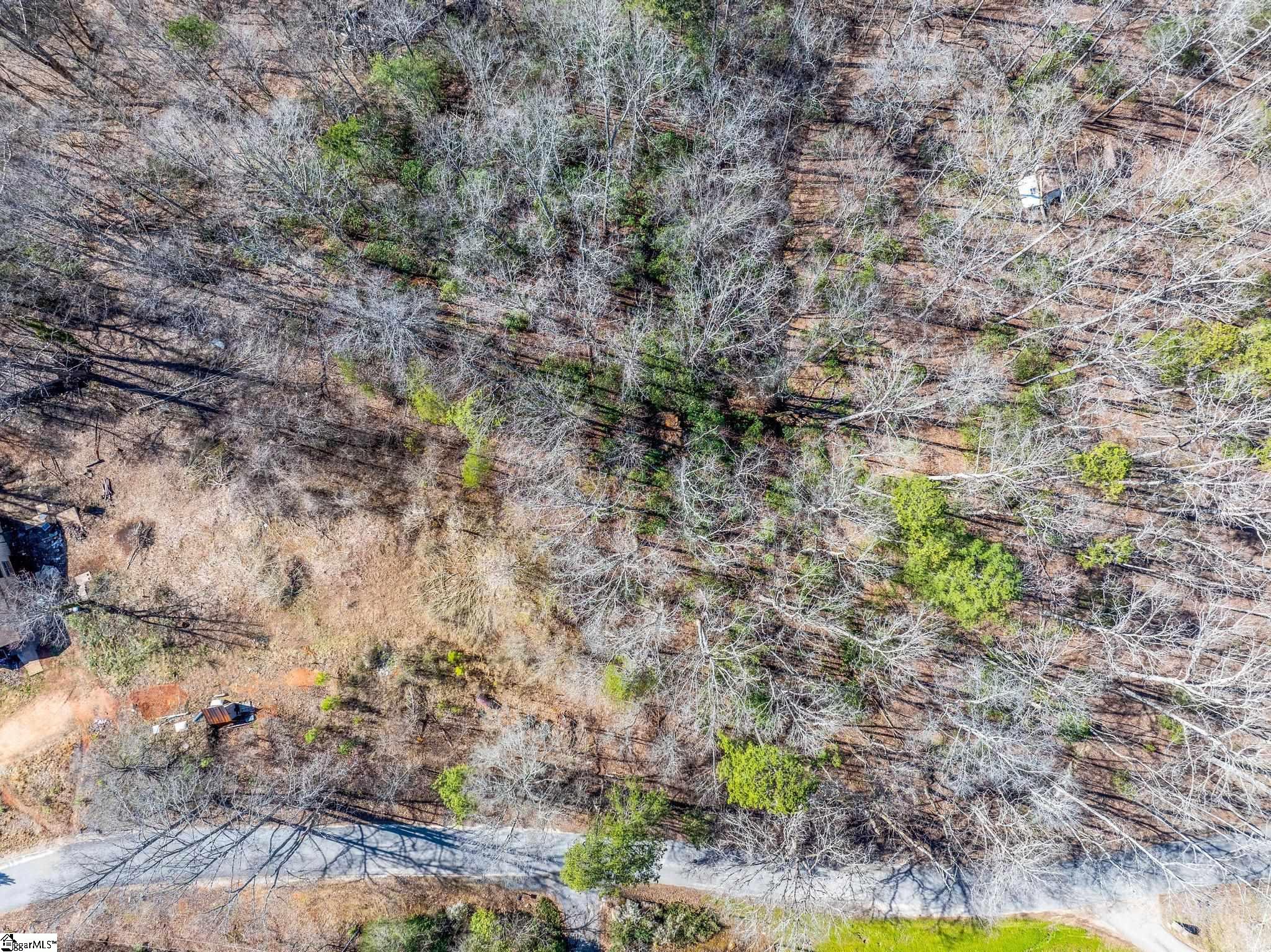 0 Echo Ridge Drive Marietta, SC 29661 - Photo 4 of 15