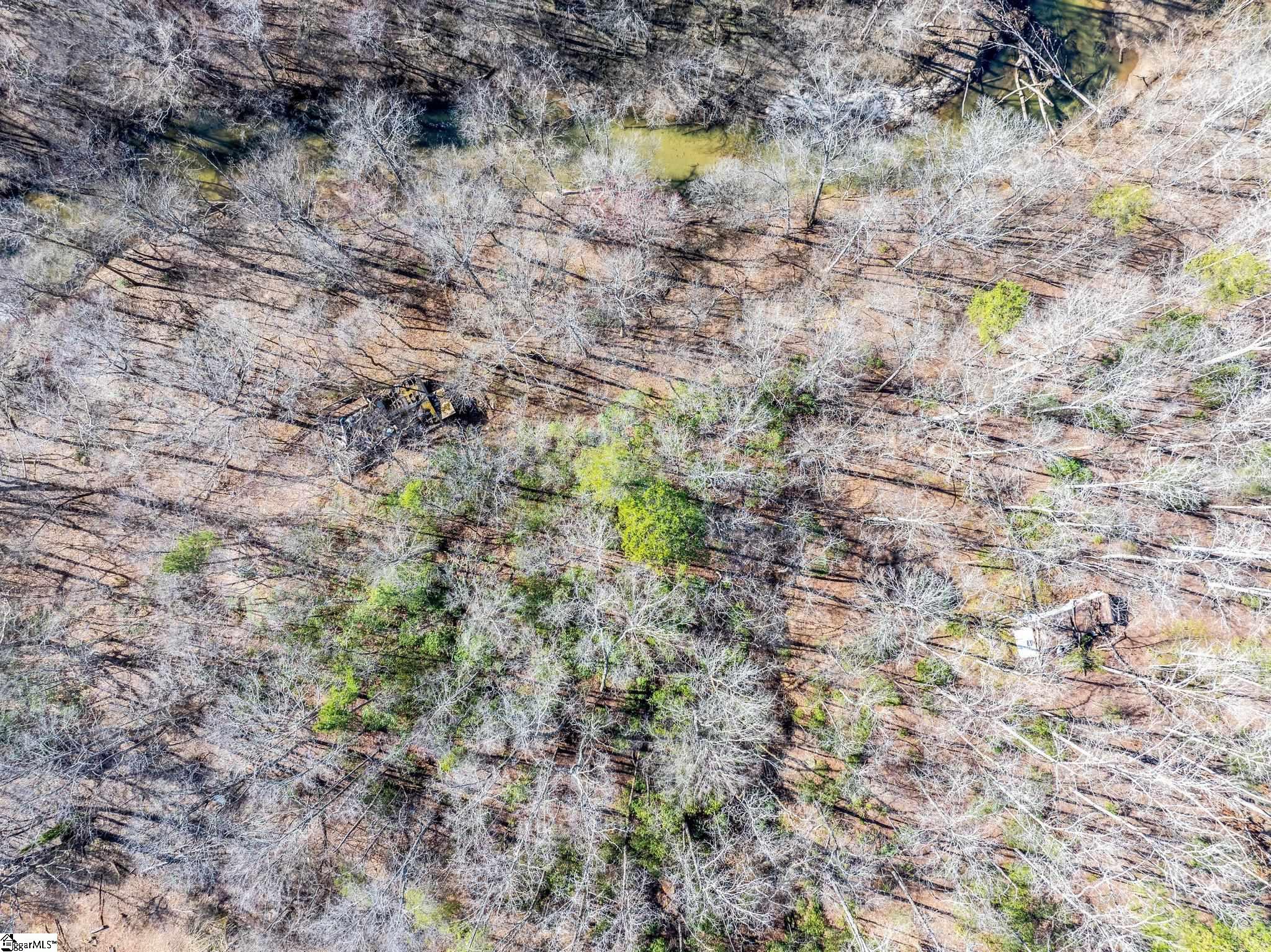 0 Echo Ridge Drive Marietta, SC 29661 - Photo 5 of 15