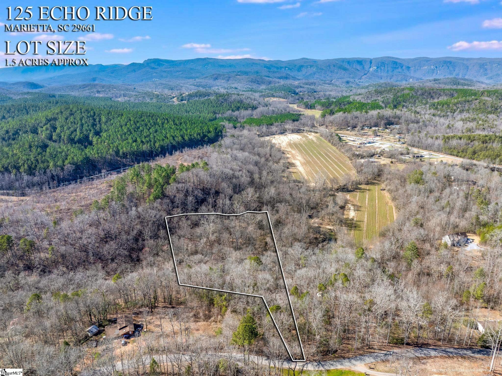 0 Echo Ridge Drive Marietta, SC 29661 - Photo 7 of 15