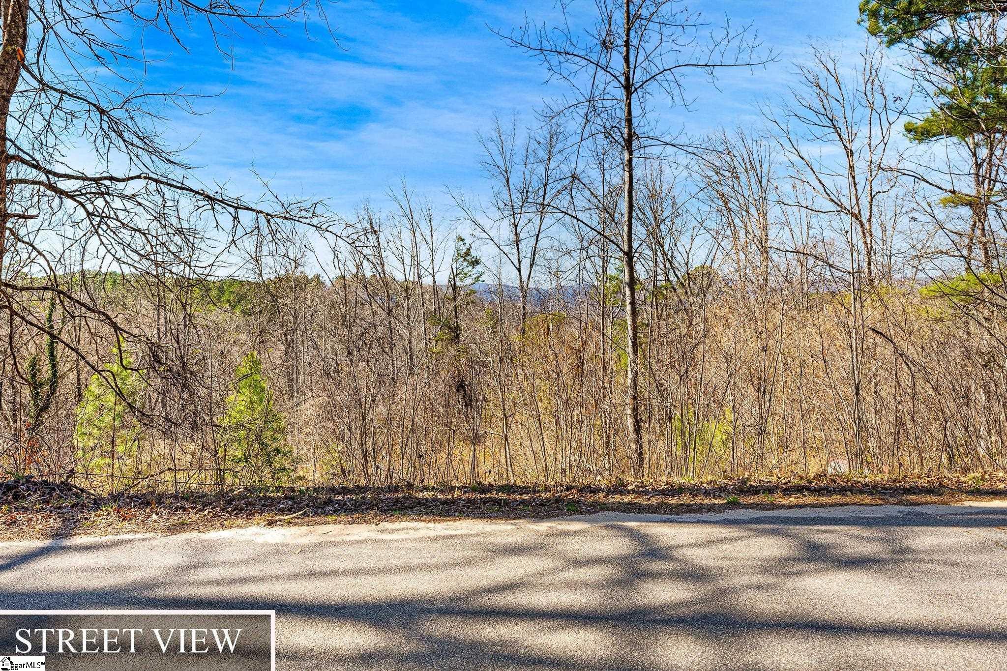 0 Echo Ridge Drive Marietta, SC 29661 - Photo 9 of 15