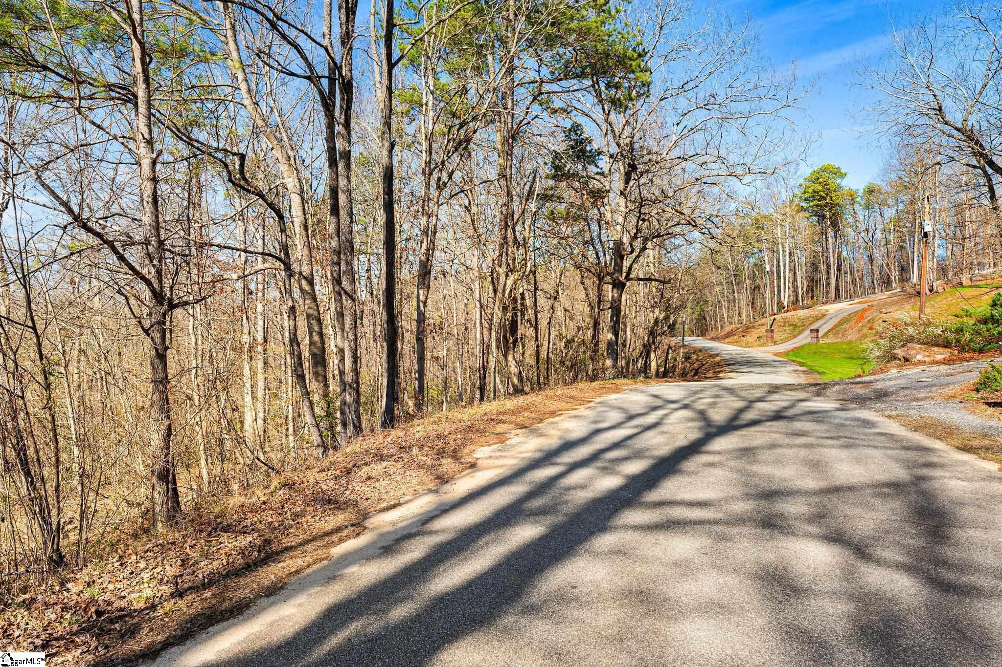 0 Echo Ridge Drive Marietta, SC 29661 - Photo 10 of 15