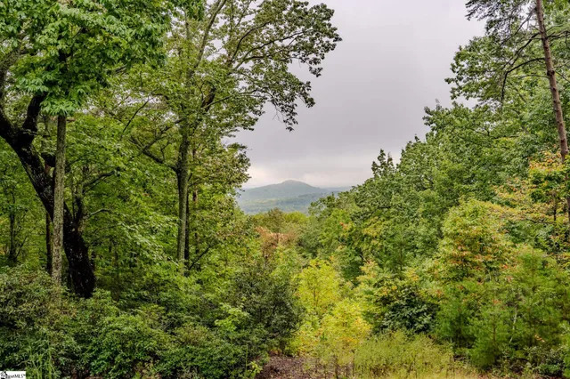 $579,900 | 201 Plumley Summit Road, Landrum, SC 29356