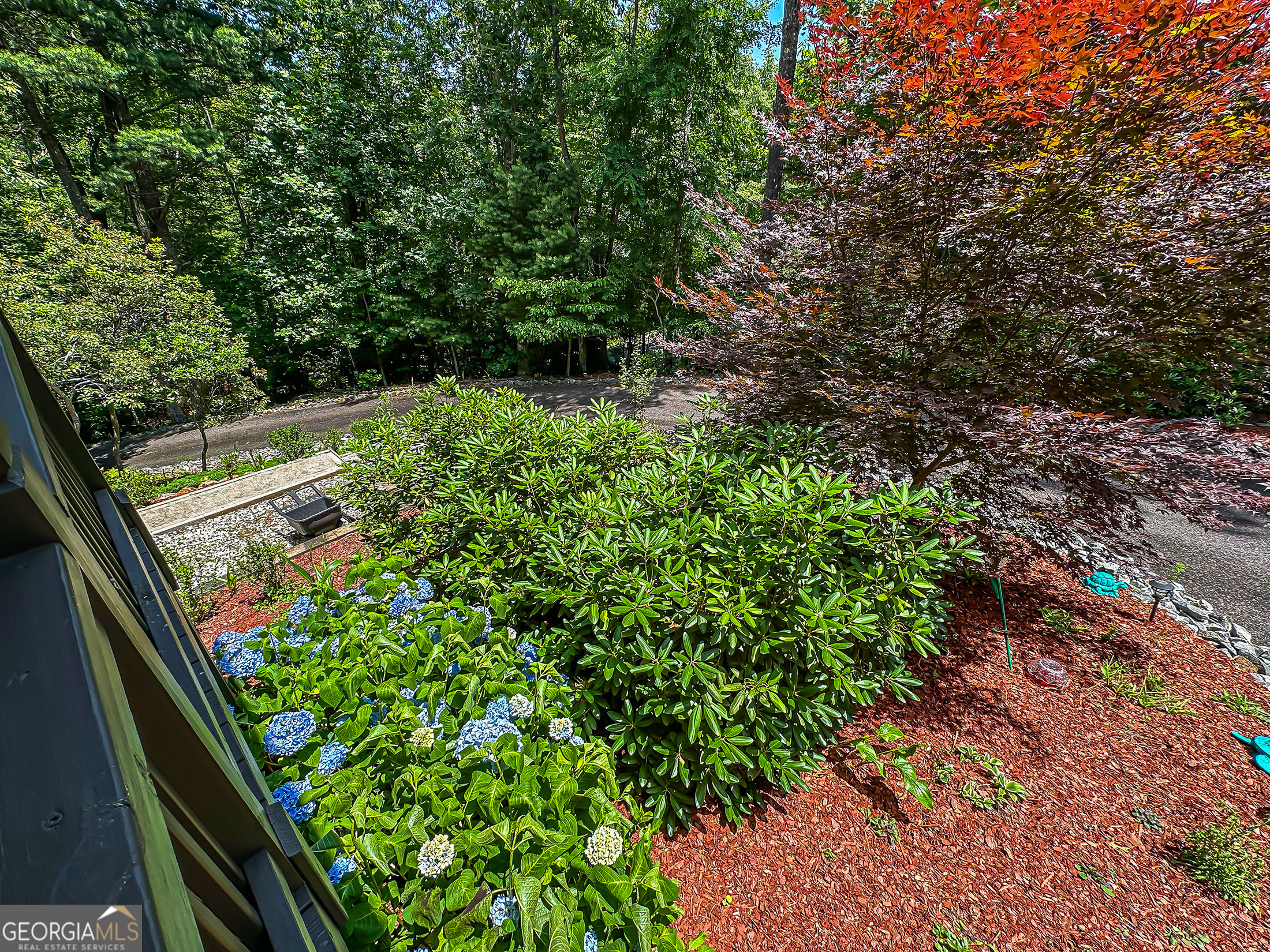 181 Morgan Ridge Court Young Harris, GA 30582 - Photo 8 of 37 a view of garden with plants