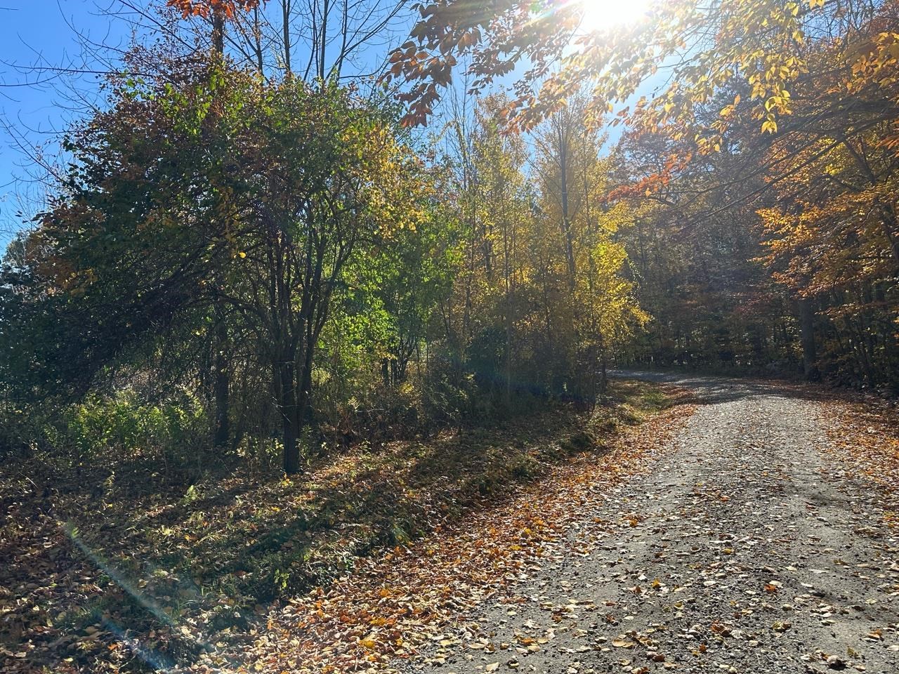 184 Dupre Drive Guilford, VT 05301 - Photo 4 of 10
