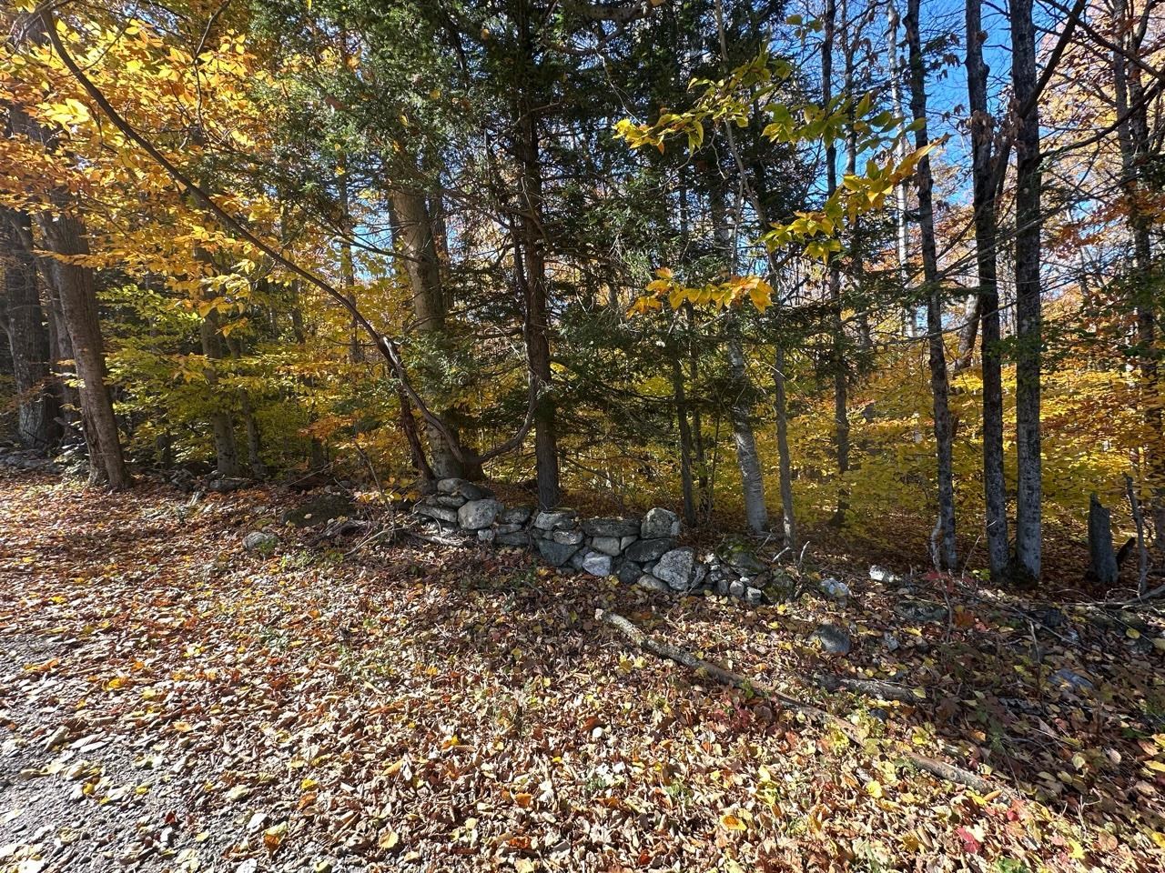 184 Dupre Drive Guilford, VT 05301 - Photo 5 of 10