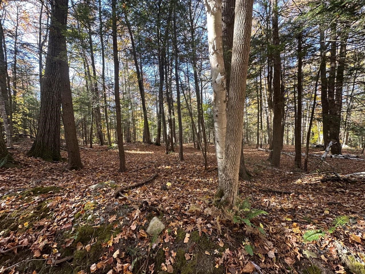 184 Dupre Drive Guilford, VT 05301 - Photo 8 of 10