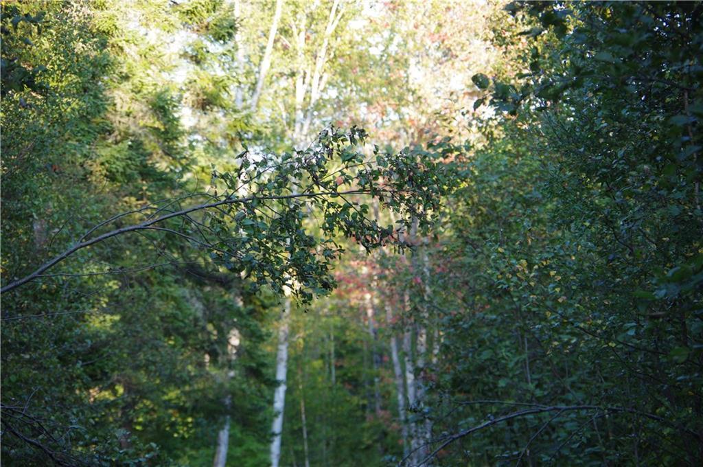 Tbd Milo Road Sebec, ME 04481 - Photo 16 of 18 sebec 8