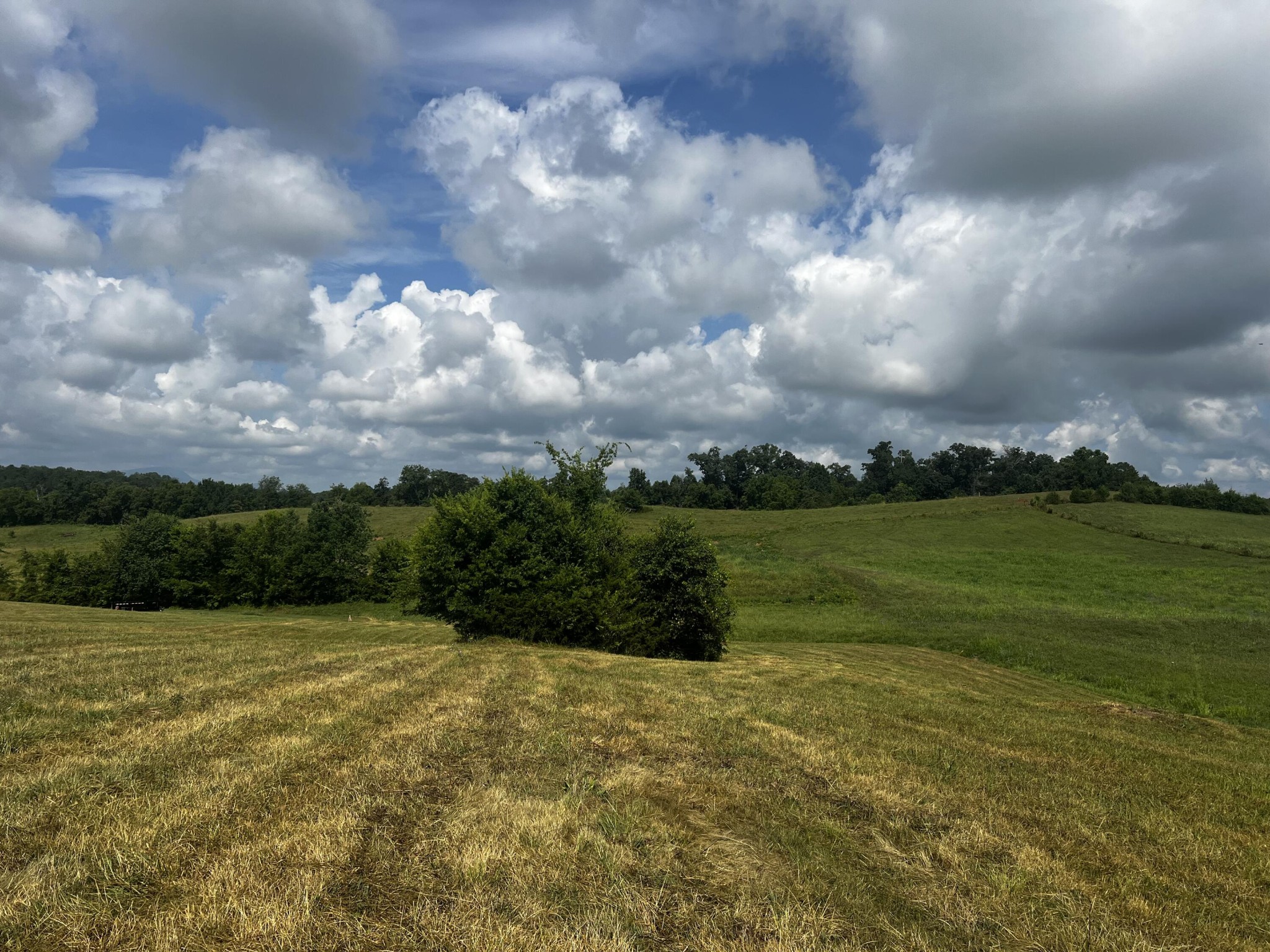 3 Sharp Road Sevierville, TN 37876 - Photo 6 of 21