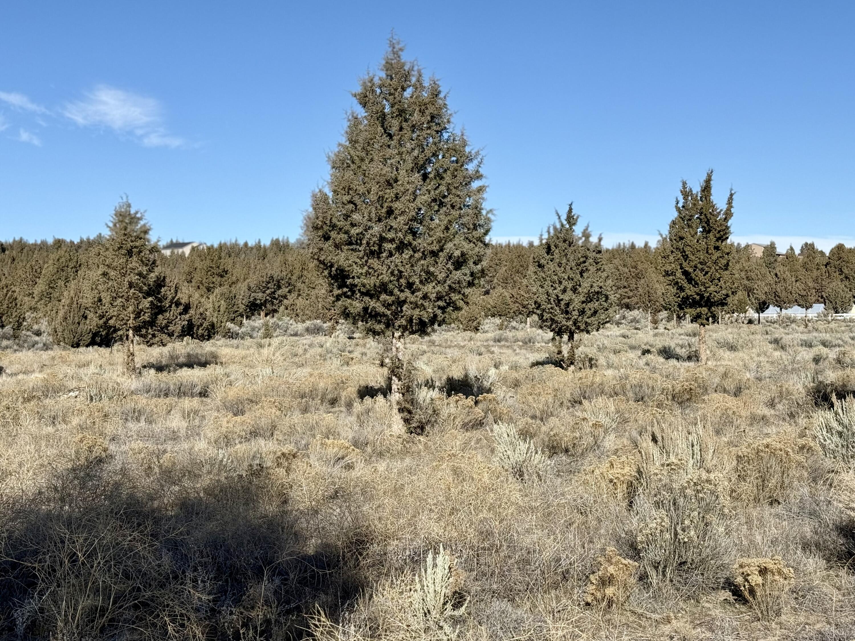 Southeast Riverdance Road, Unit TL 410 Prineville, OR 97754 - Photo 6 of 11 6 - 06 Riverdance IMG_5718
