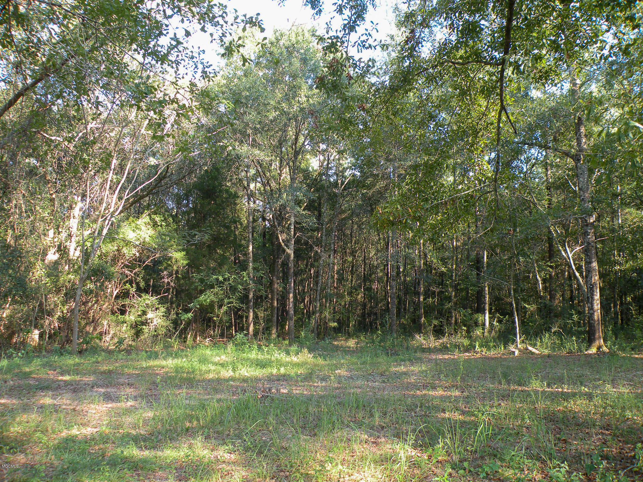 214 Elbert Stringer Lane Lucedale, MS 39452 - Photo 23 of 29 DSCN8439