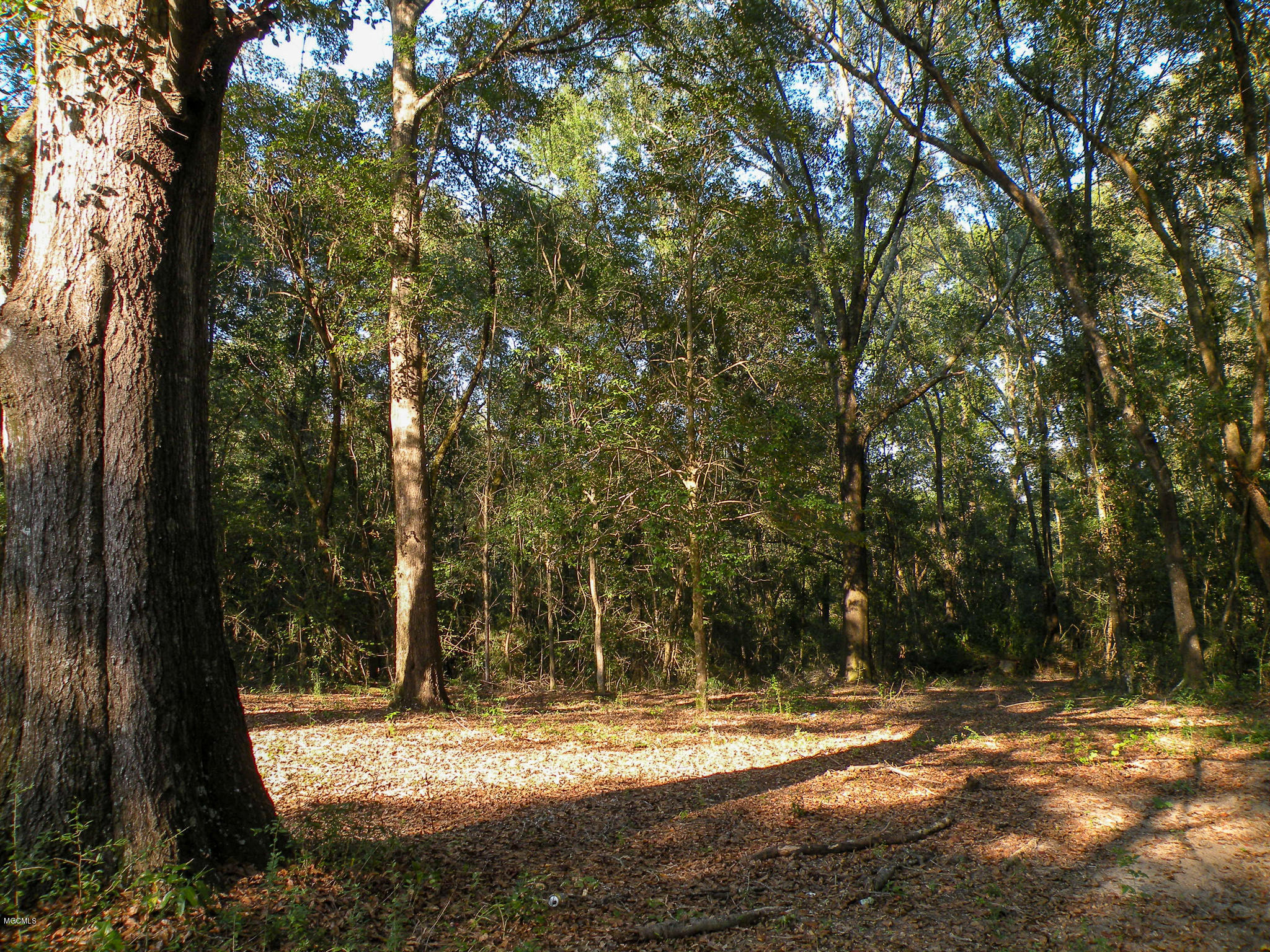 214 Elbert Stringer Lane Lucedale, MS 39452 - Photo 26 of 29 DSCN8442