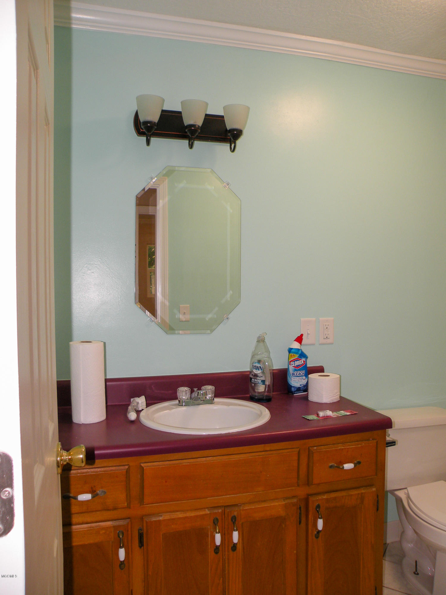 214 Elbert Stringer Lane Lucedale, MS 39452 - Photo 10 of 29 DSCN8460