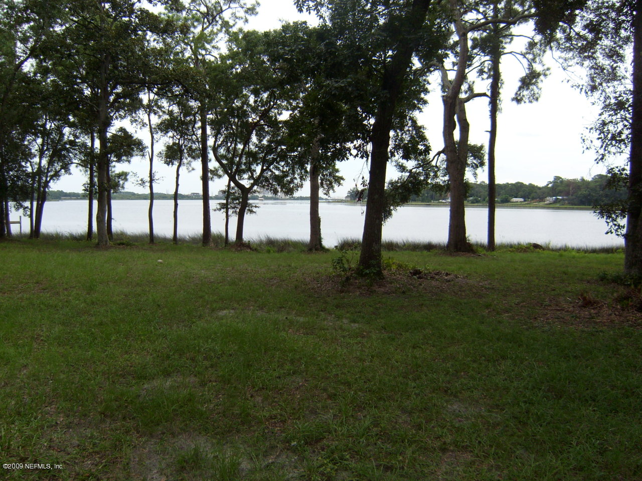 view from rear