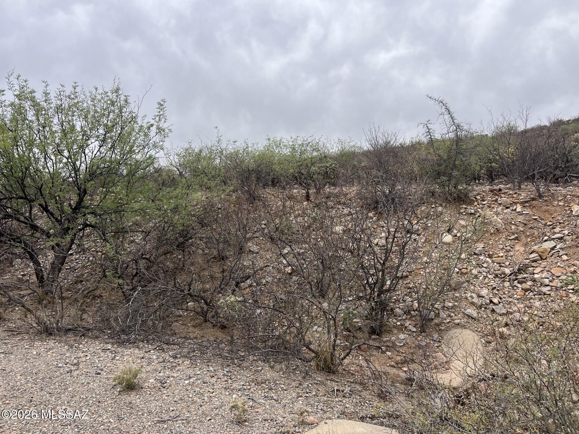 1835 Camino China, Unit 3 Rio Rico, AZ 85648 - Photo 5 of 19 534fac88-8503-4475-a543-12e1a6977e5b