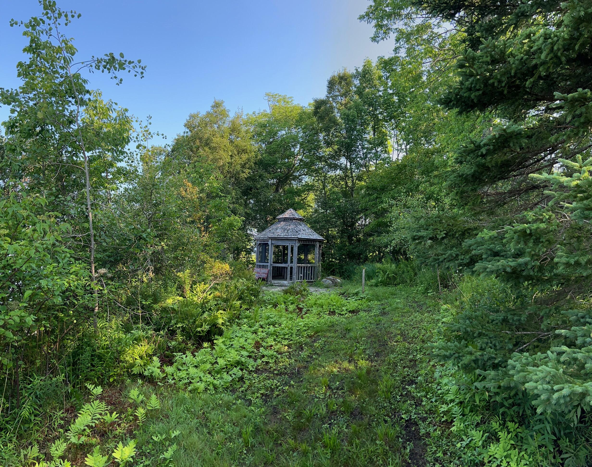 1650 Castine Road Penobscot, ME 04476 - Photo 44 of 63 IMG_0830
