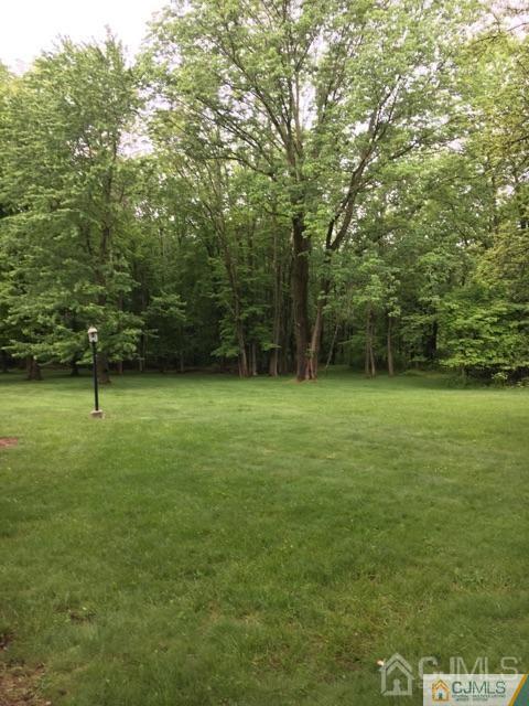 278 Springhill Road Skillman, NJ 08558 - Photo 2 of 4 a view of outdoor space with deck and yard