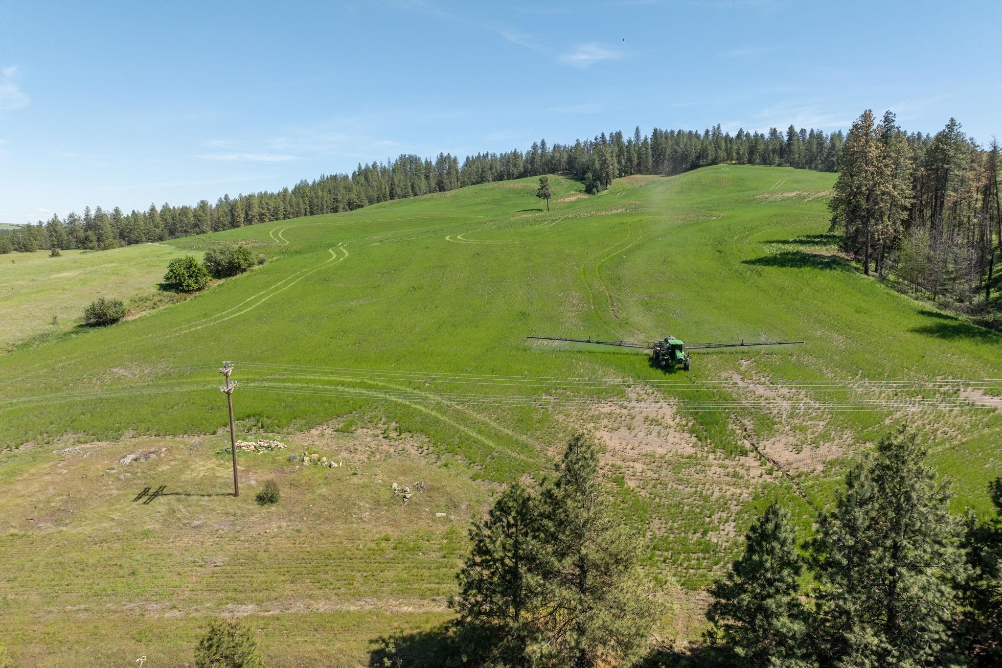 Nka South Granite Lake Road Cheney, WA 99004 - Photo 12 of 18