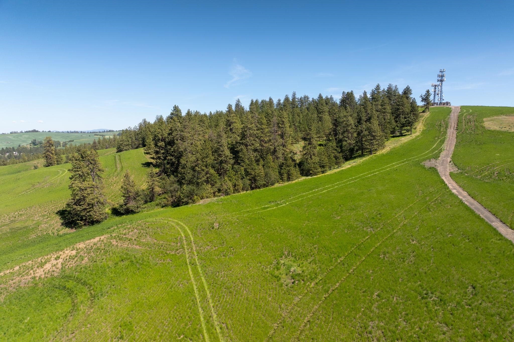 Nka South Granite Lake Road Cheney, WA 99004 - Photo 6 of 18