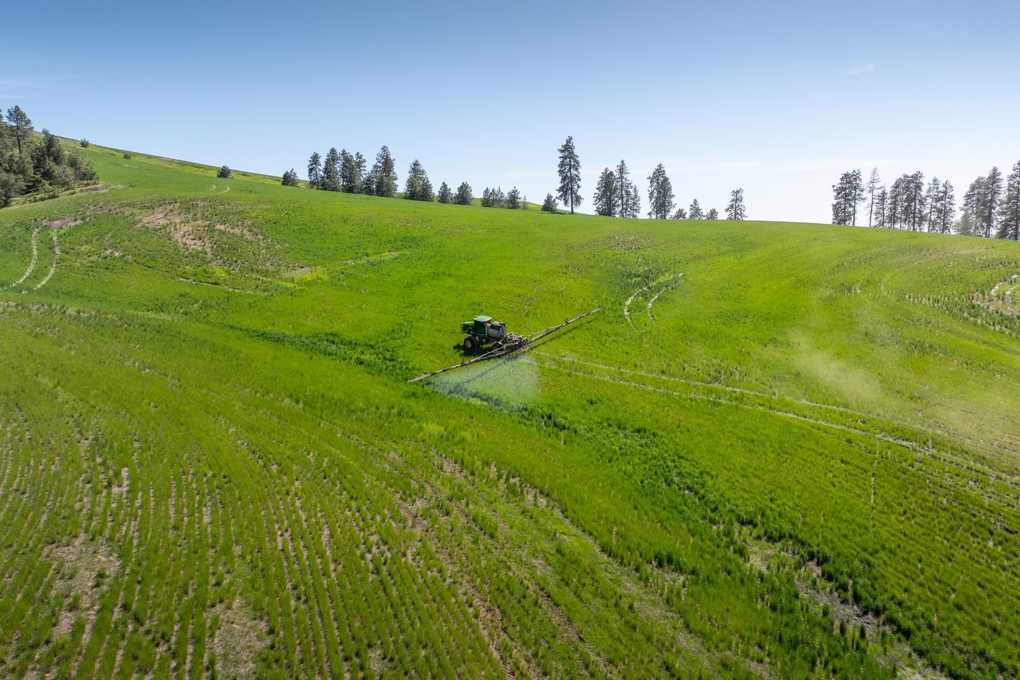 Nka South Granite Lake Road Cheney, WA 99004 - Photo 8 of 18