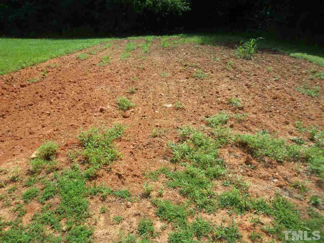 63 Lynch Evans Road Spring Hope, NC 27882 - Photo 11 of 18