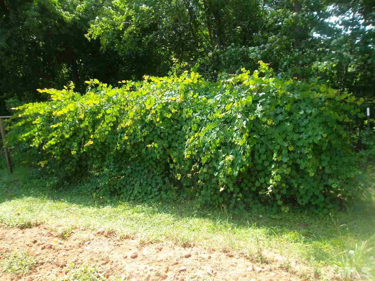 63 Lynch Evans Road Spring Hope, NC 27882 - Photo 10 of 18