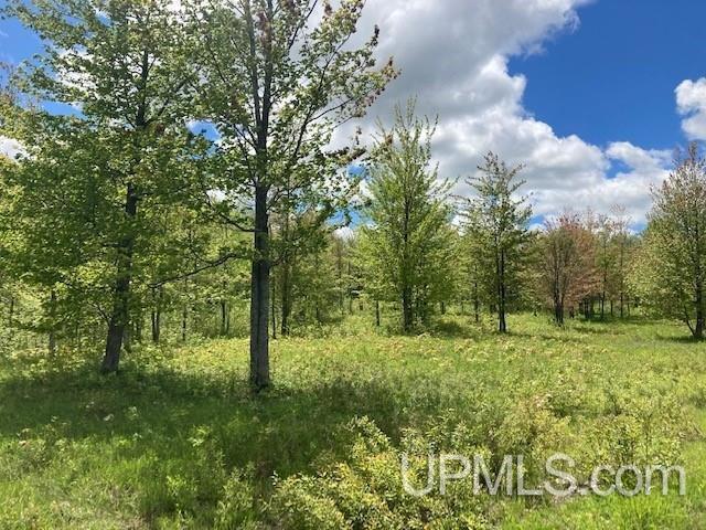 2 Boundary Road Chassell, MI 49916 - Photo 31 of 77