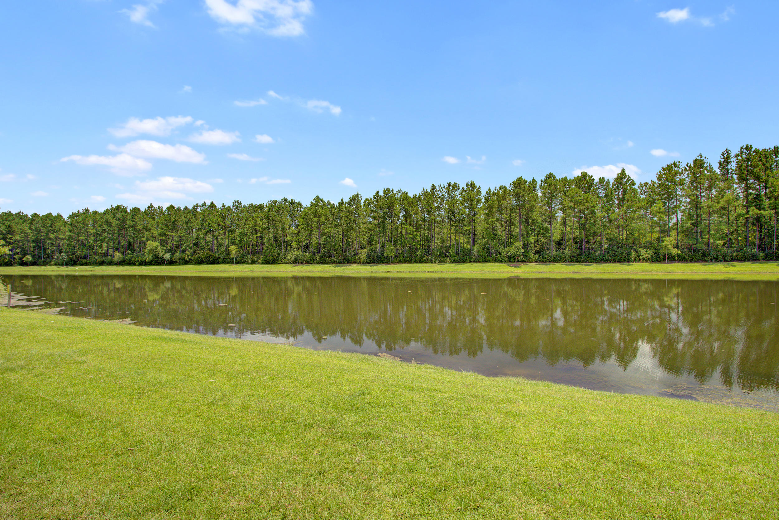 249 Decatur Drive Summerville, SC 29486 - Photo 33 of 45 249 Decatur Dr, Summerville SC (33)