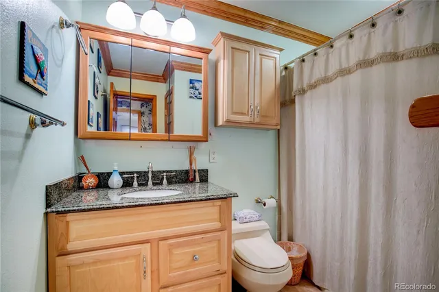 a bathroom with a granite countertop sink toilet and a mirror