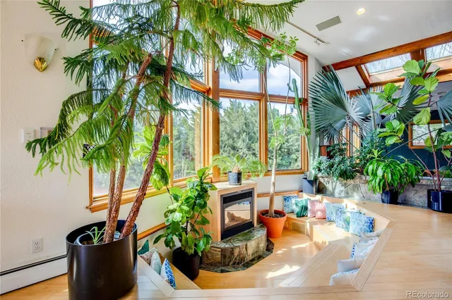 a living room filled with furniture and a potted plant