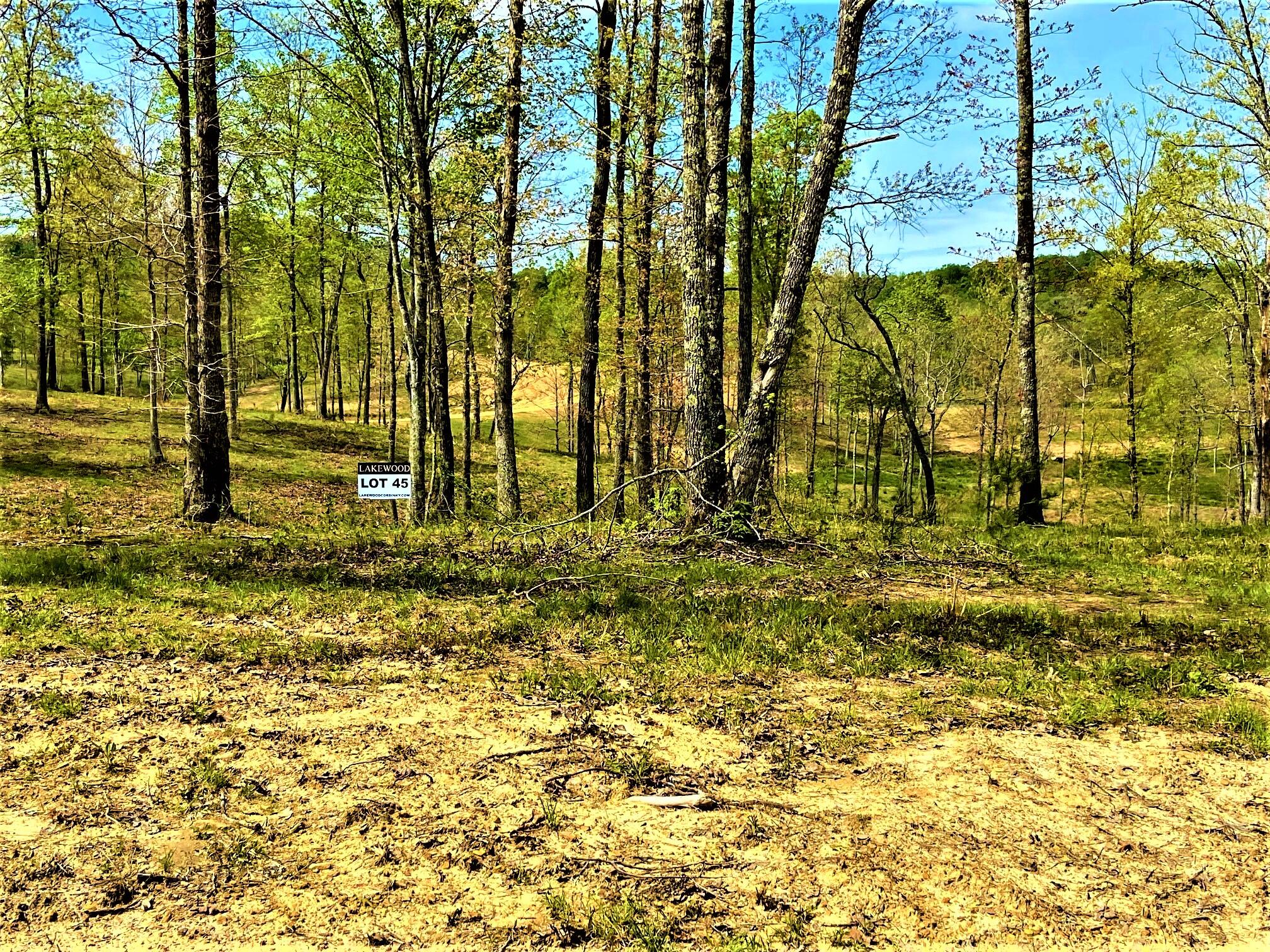 45 Twin Ponds Road Corbin, KY 40701 - Photo 3 of 3 Lot 45