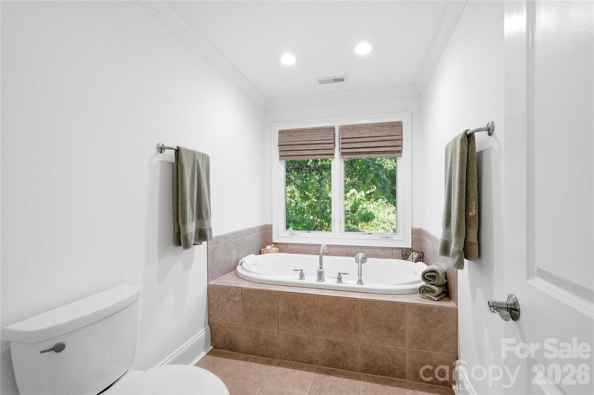16121 Tana Tea Circle Tega Cay, SC 29708 - Photo 24 of 48