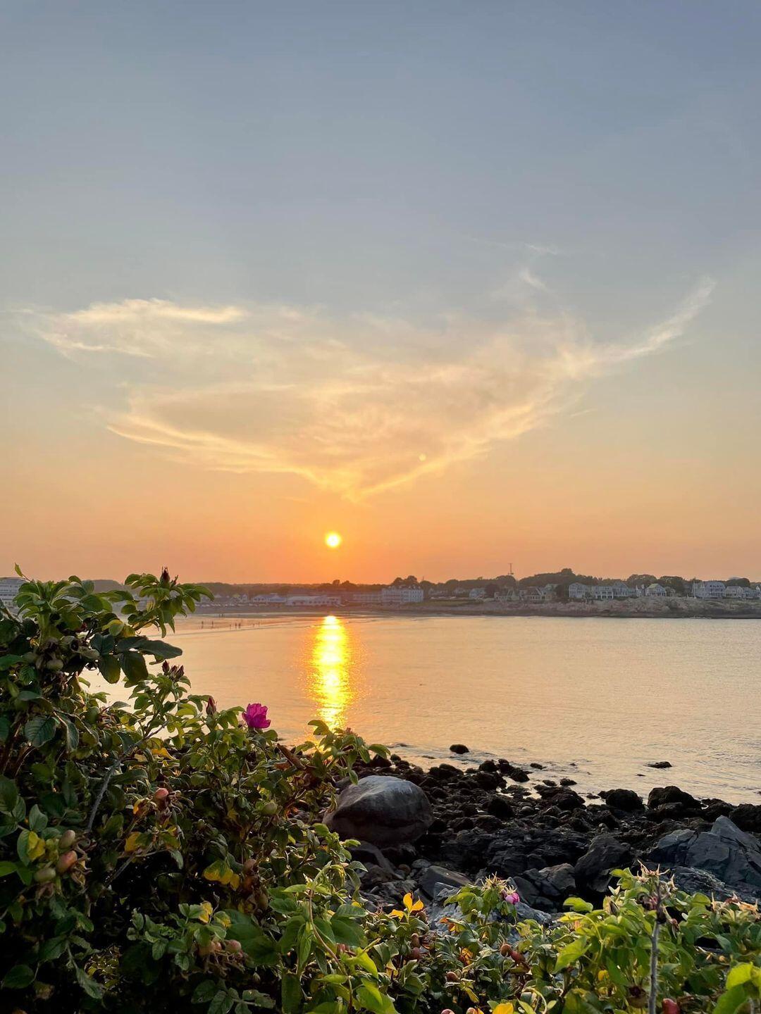 488 Main Street, Unit 7 Ogunquit, ME 03907 - Photo 56 of 57 488 Main Street, Unit 7, Ogunquit, Maine