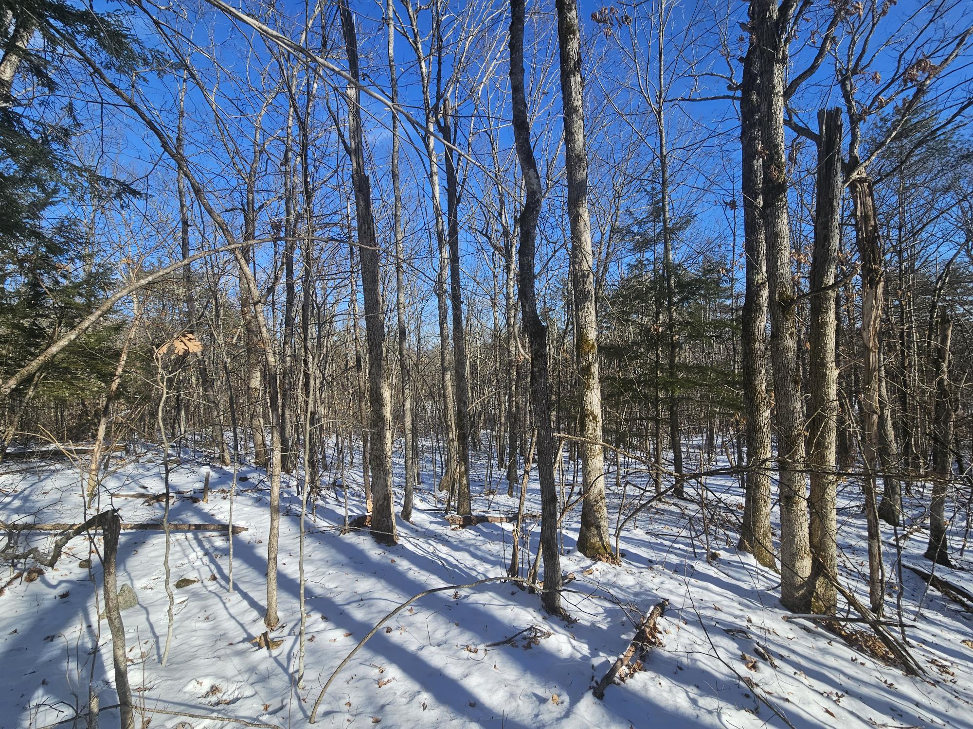 708 Webbs Mills Road Raymond, ME 04071 - Photo 1 of 31 20250115_111558