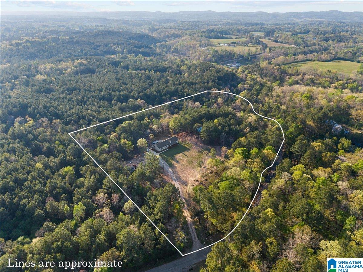 1009 Deaver Walker Road Trafford, AL 35172 - Photo 35 of 39