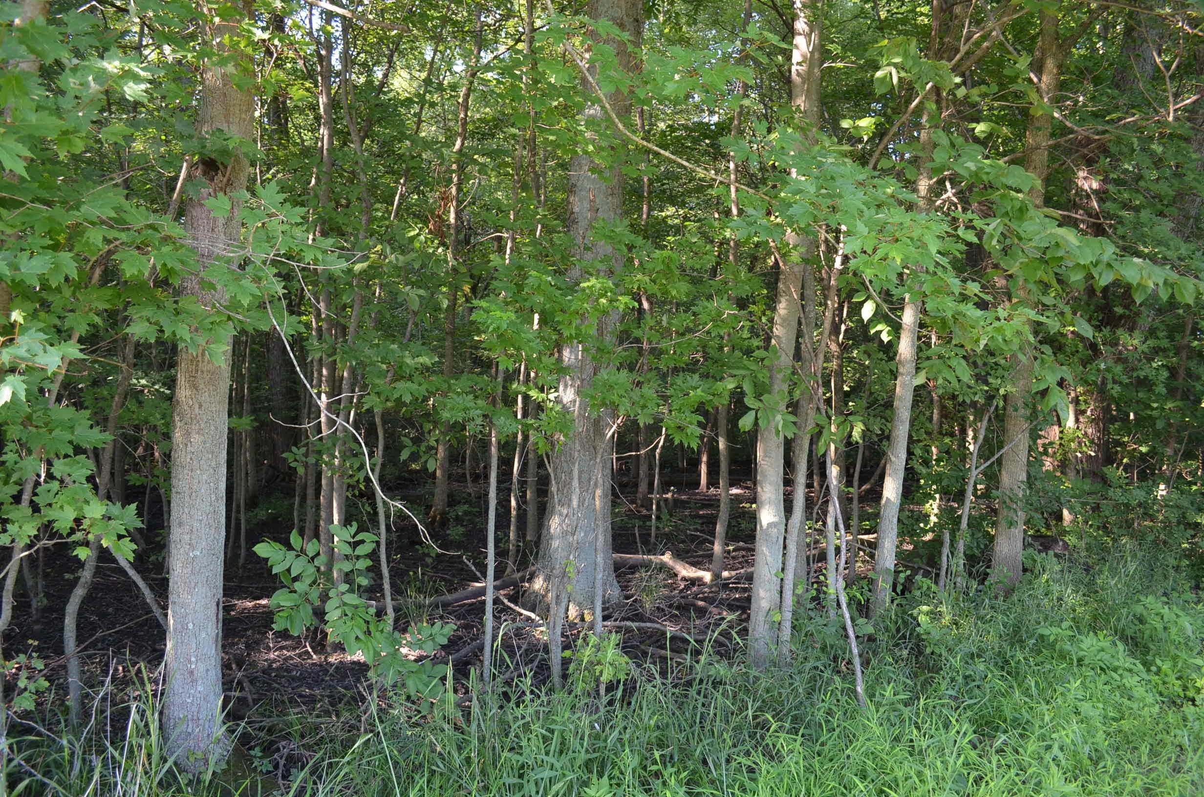 14475 Woodtown Road Sunbury, OH 43074 - Photo 13 of 34
