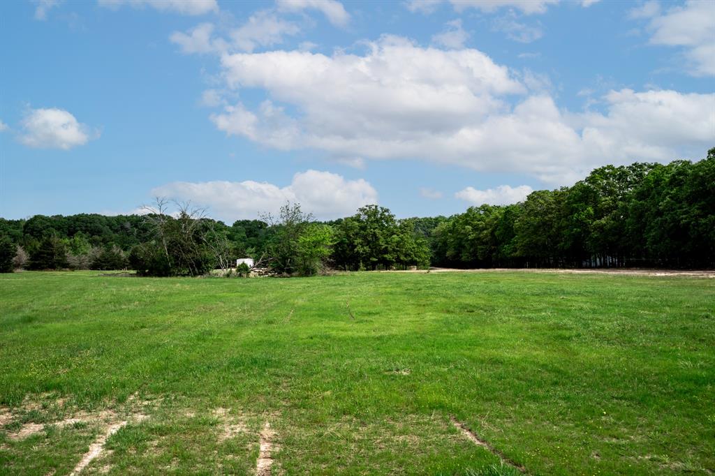 0 Fm 2101 Stuart, TX 74570 - Photo 19 of 32 a view of a field of grass and trees