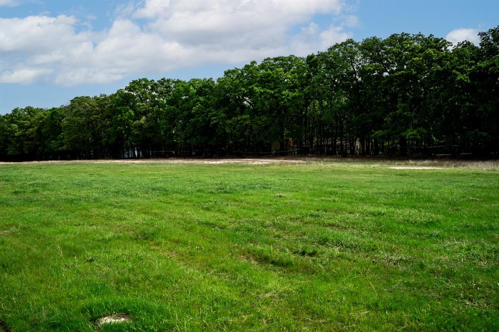 0 Fm 2101 Stuart, TX 74570 - Photo 21 of 32 a view of a grassy field