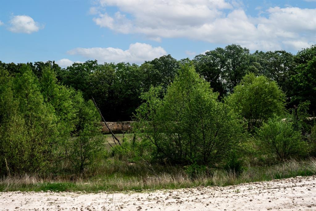 0 Fm 2101 Stuart, TX 74570 - Photo 22 of 32 a view of a lake
