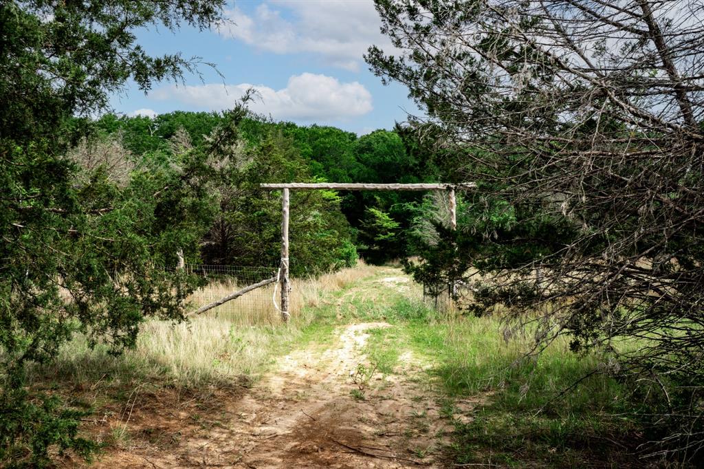 0 Fm 2101 Stuart, TX 74570 - Photo 25 of 32 a view of a yard with a tree