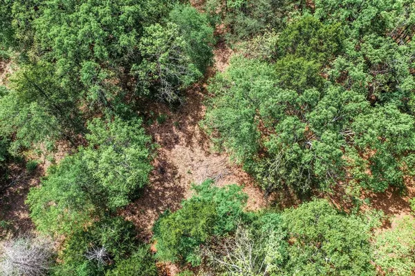 $424,995 | 0 Fm 2101, Stuart, TX 74570