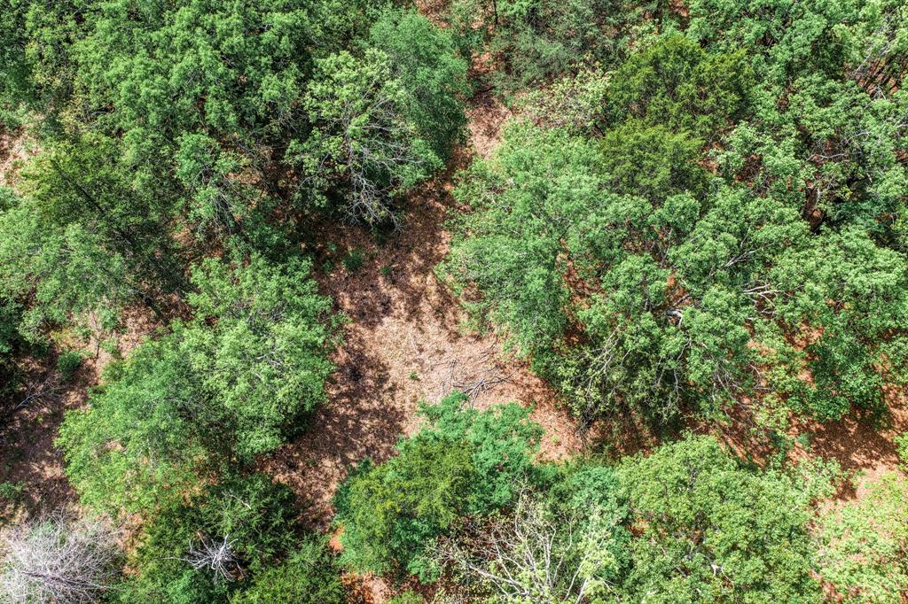 0 Fm 2101 Stuart, TX 74570 - Photo 7 of 32