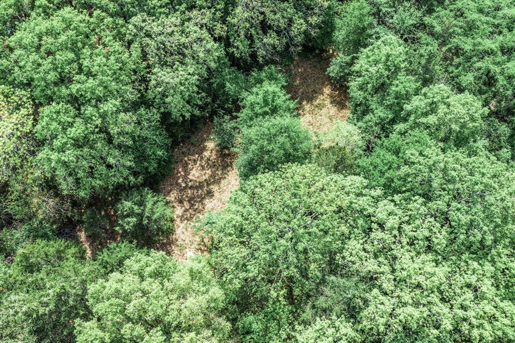 0 Fm 2101 Stuart, TX 74570 - Photo 9 of 32 a view of a lush green forest with lawn chairs