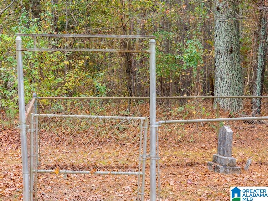 607 County Road 88 Fruithurst, AL 36262 - Photo 11 of 16